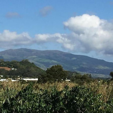 Villa Familia Ponta Delgada Dış mekan fotoğraf