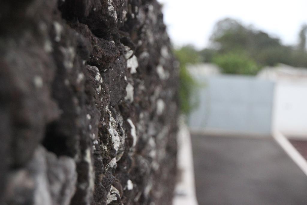 Villa Familia Ponta Delgada Dış mekan fotoğraf